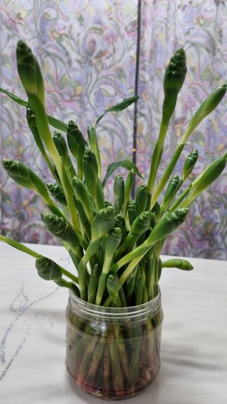 박순덕님의 10월 농사 성적 자랑하기 · 참여글 작성글 사진