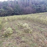 팜모닝 들깨·자유게시판 게시글 이미지