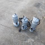 팜모닝 · 게시글 이미지