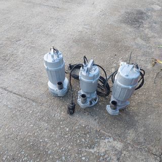 꿈속의농원님의 작성글 사진