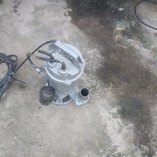 꿈속의농원님의 작성글 사진