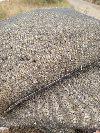 병풍취산채농원님의 기타작물 · 자유게시판 작성글 사진