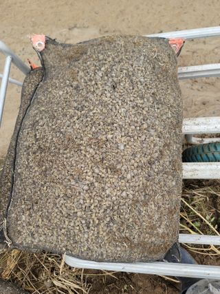 병풍취산채농원님의 기타작물 · 자유게시판 작성글 사진