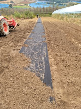 병풍취산채농원님의 기타작물 · 자유게시판 작성글 사진