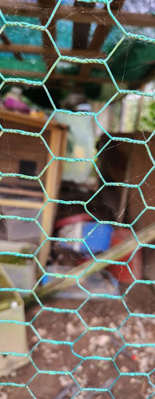 홍순강화모리님의 자유주제 · 자유게시판 작성글 사진