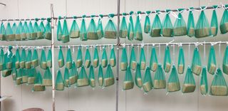 박춘식님의 자유주제 · 자유게시판 작성글 사진