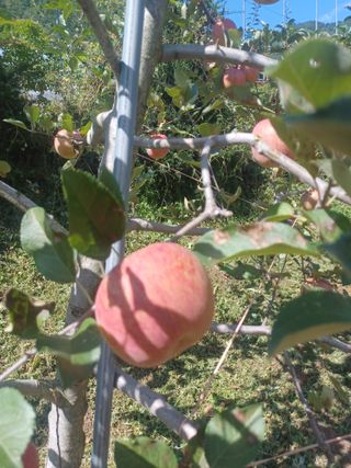 박흥구님의 10월 농사 성적 자랑하기 · 참여글 작성글 사진