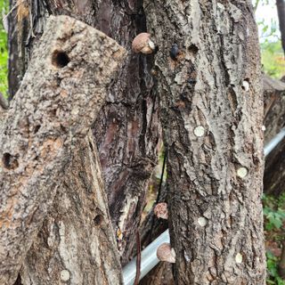 황지유님의 10월 농사 성적 자랑하기 · 참여글 작성글 사진