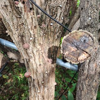 황지유님의 10월 농사 성적 자랑하기 · 참여글 작성글 사진