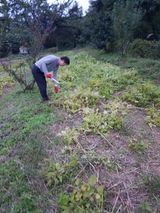 팜모닝 자유주제·자유게시판 게시글 이미지