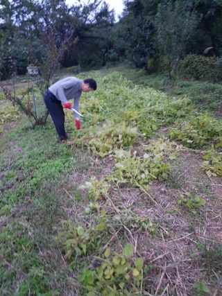 정석구님의 자유주제 · 자유게시판 작성글 사진