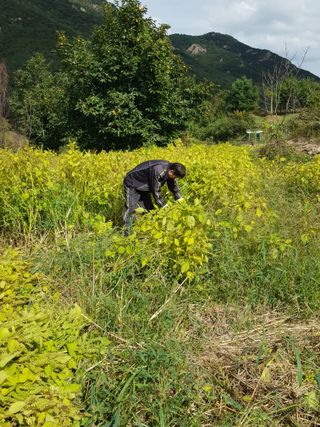 정석구님의 자유주제 · 자유게시판 작성글 사진