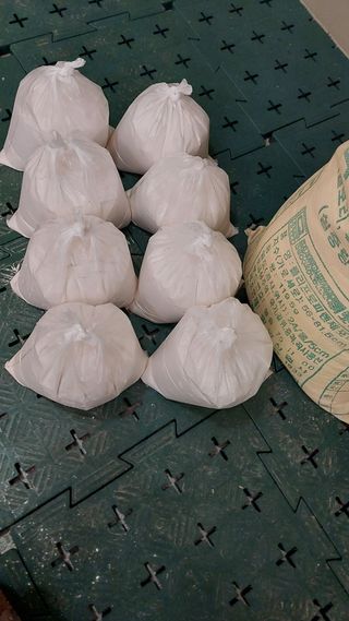 손경식님의 작성글 사진