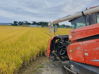 정종필님의 벼 · 영농일지 작성글 사진