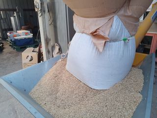 정종필님의 벼 · 영농일지 작성글 사진