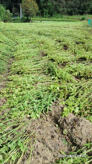 SVAHA5657님의 자유주제 · 자유게시판 작성글 사진