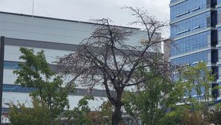 이튼실님의 자유주제 · 자유게시판 작성글 사진