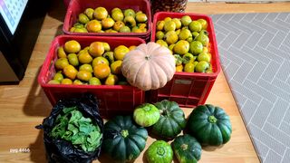 농꾼님의 10월 농사 성적 자랑하기 · 참여글 작성글 사진