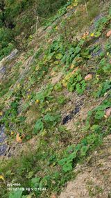 농꾼님의 10월 농사 성적 자랑하기·참여글 작성글 사진