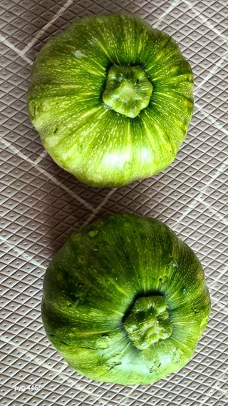 농꾼님의 10월 농사 성적 자랑하기 · 참여글 작성글 사진