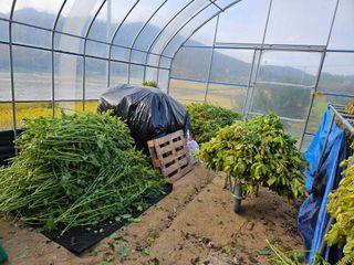 마중물0715님의 10월 농사 성적 자랑하기·참여글 작성글 사진