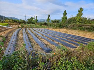 마중물0715님의 10월 농사 성적 자랑하기 · 참여글 작성글 사진