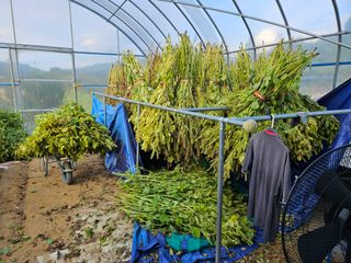 마중물0715님의 10월 농사 성적 자랑하기 · 참여글 작성글 사진