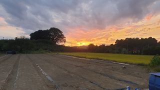 왕왕초보동읍거주님의 10월 농사 성적 자랑하기 · 참여글 작성글 사진