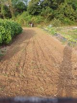 팜모닝 감·영농일지 게시글 이미지