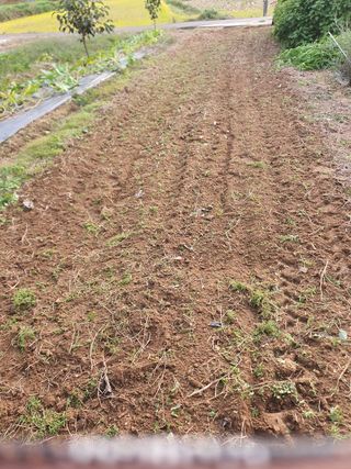 김영진님의 감 · 영농일지 작성글 사진