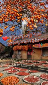 팜모닝 자유주제·자유게시판 게시글 이미지