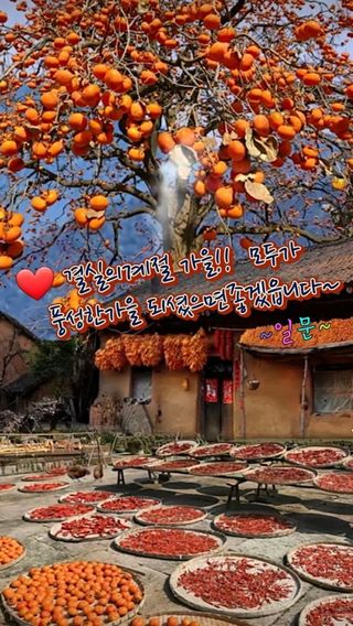 SOUL님의 자유주제 · 자유게시판 작성글 사진