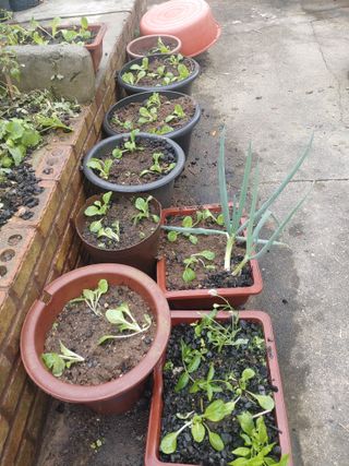 이현상님의 기타작물 · 자유게시판 작성글 사진