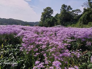 이용욱님의 10월 농사 성적 자랑하기·참여글 작성글 사진