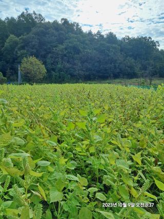 SVAHA5657님의 자유주제 · 자유게시판 작성글 사진