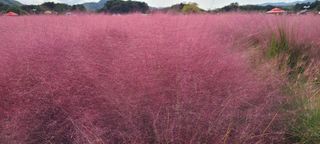 권오정 (천지산)님의 자유주제 · 자유게시판 작성글 사진