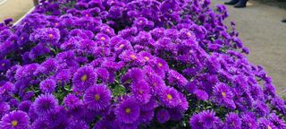 권오정 (천지산)님의 자유주제 · 자유게시판 작성글 사진