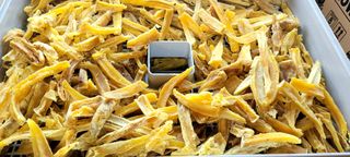 행복농장님의 고구마 · 자유게시판 작성글 사진