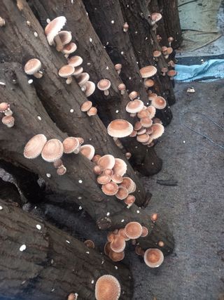 박종만님의 자유주제 · 자유게시판 작성글 사진