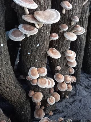 박종만님의 자유주제 · 자유게시판 작성글 사진