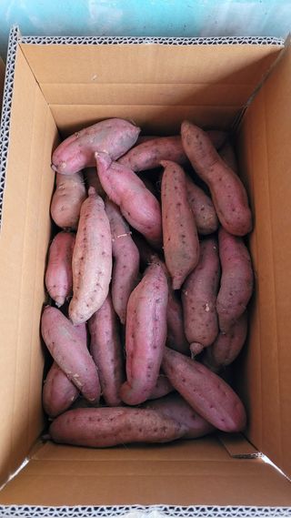 강화댁님의 작성글 사진