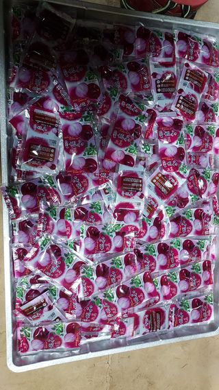 희원님의 양파 · 영농일지 작성글 사진