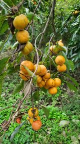 팜모닝 자유주제·자유게시판 게시글 이미지