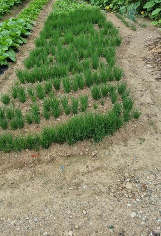 영애님의 자유주제 · 자유게시판 작성글 사진