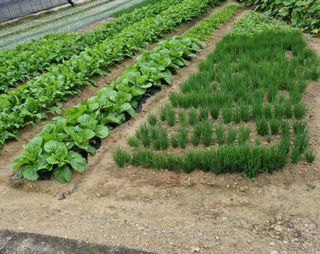 영애님의 자유주제 · 자유게시판 작성글 사진