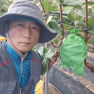 권오율님의 포도 · 자유게시판 작성글 사진