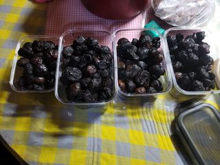 다소농원님의 10월 농사 성적 자랑하기 · 참여글 작성글 사진