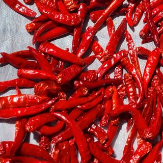 평창산들농장님의 작성글 사진