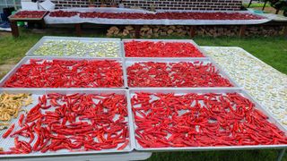 평창산들농장님의 작성글 사진