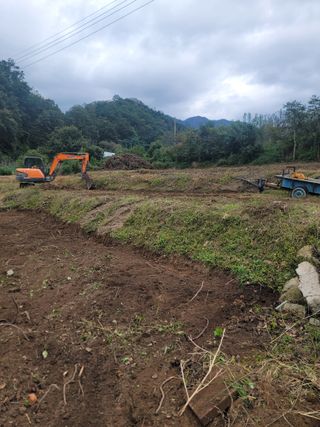 푸른눈늑대님의 자두 · 자유게시판 작성글 사진